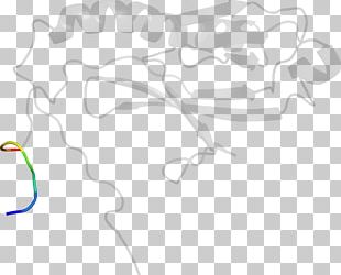 Line Art White Nose PNG