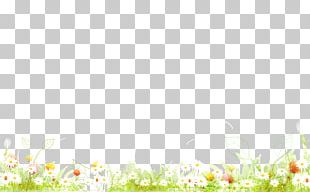 Petal Pattern PNG