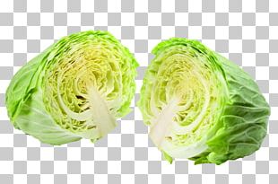 Napa Cabbage Vegetable Nutrition Food PNG