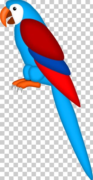 Blue Yellow Macaw - Doodlewash®