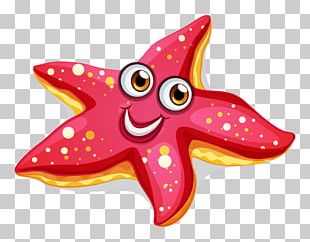 Drawing Sea Starfish Cartoon Png, Clipart, Animal, Animals, Aquarium 