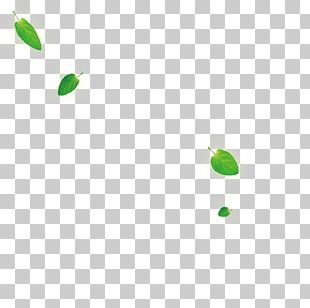 Green Area Angle Pattern PNG