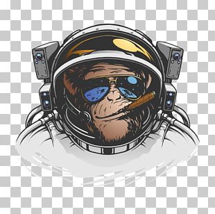 Chimpanzee Ape Monkey Illustration PNG