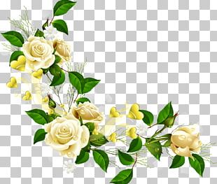Border Flowers PNG