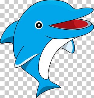 Dolphin Drawing Animal PNG