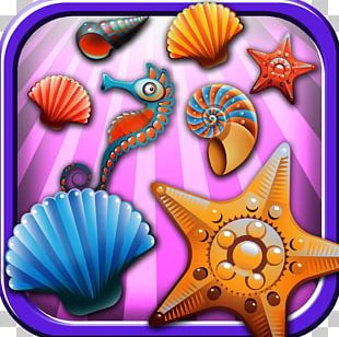Invertebrate Marine Biology PNG