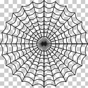 Spider Web Coloring Book Child PNG