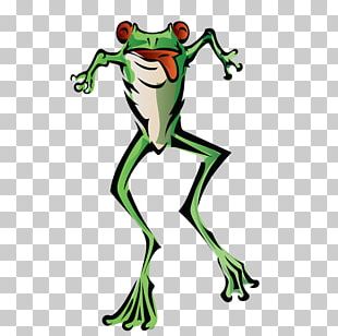Toad Tree Frog True Frog PNG