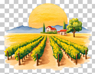 Sunset Vineyard Landscape PNG
