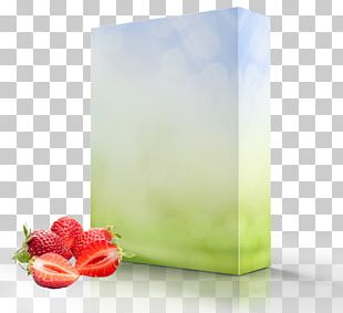 Paper Box Packaging And Labeling PNG