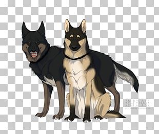 Dog Breed Lapponian Herder PNG