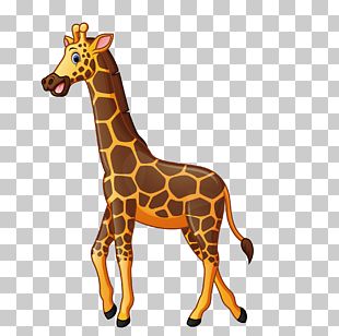 Giraffe Cartoon Illustration PNG