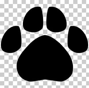 Dog American Black Bear Jaguar Cat PNG