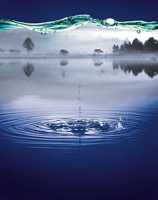 Poster Purified Water Mineral Water Flyer PNG