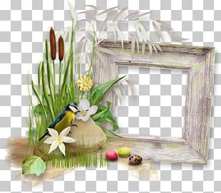 Easter Egg PNG