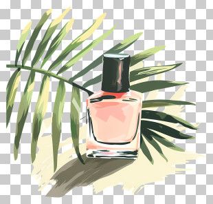 Nail Polish - Nail Polish Bottle With Palm Leaves Illustration PNG