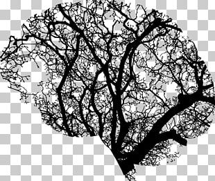 Human Brain Tree PNG