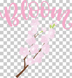 Bloom Spring Flower PNG