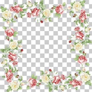 Floral Design Flower PNG