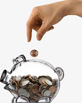 Save Money Into The Transparent Pig Piggy Bank PNG