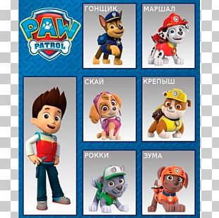 Puppy Dog PAW Patrol Air And Sea Adventures Birthday Nickelodeon PNG