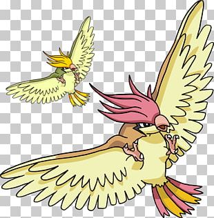 Pidgeotto Pidgey Pikachu PokÃ©mon PNG