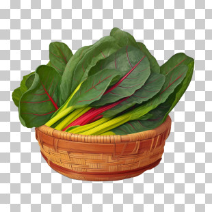 Swiss Chard - Basket Filled With Fresh Green Leaves PNG