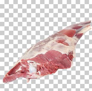 Venison Halal Goat Meat Broiler PNG, Clipart, Animal Fat, Animal Source ...