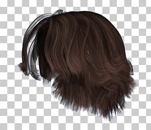 Hairstyle Wig PNG, Clipart, Animals, Artificial Hair Integrations ...