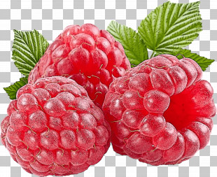 Berry Fruit PNG, Clipart, Berry, Berry Fruit, Blackberry, Blueberry ...