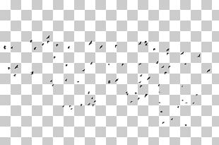 Bird Migration Flock Animal Migration Beak PNG