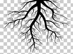 Drawing Tree Root PNG, Clipart, Art, Artwork, Branch, Drawing ...