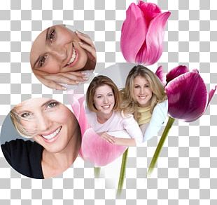 TULIP Dentistry ã‚«ã‚¶ã‚°ãƒ«ãƒž PNG
