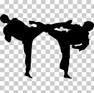 Karate Martial Arts Sport Taekwondo Silhouette PNG, Clipart, Angle, Arm ...