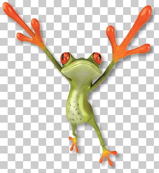 Frog PNG Images, Frog Clipart Free Download