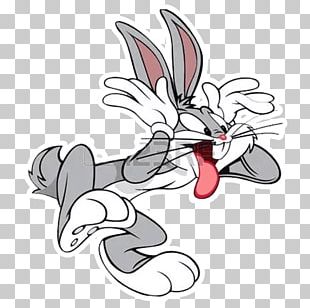 Lola Bunny Bugs Bunny Logo Looney Tunes Toon PNG, Clipart, Area, Ball ...