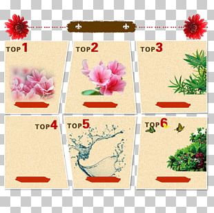 Cosmetics Typesetting Poster PNG