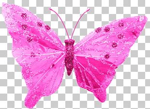 Nymphalidae Butterfly Effect Moth Insect PNG