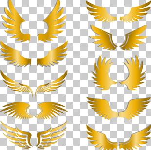 Gold wings clipart