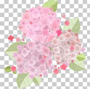 light pink flowers png images light pink flowers clipart free download light pink flowers png images light