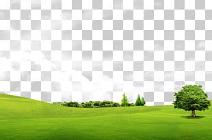 Books Grass And Trees PNG, Clipart, Books Clipart, Creative, Elements ...