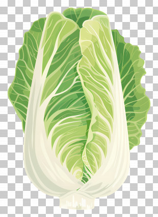 Chinese Cabbage - Fresh Napa Cabbage PNG