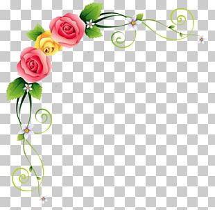 Garden Roses Flower Bouquet Petal PNG, Clipart, Arrangement, Bloom ...