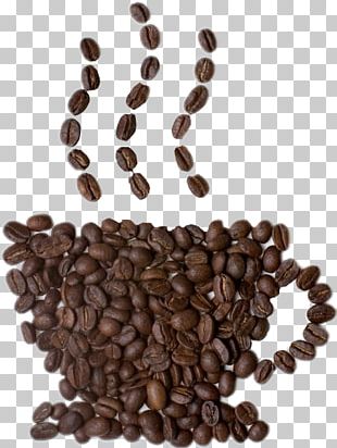 Coffee Bean Cafe Iced Coffee Instant Coffee PNG, Clipart, Bean, Beans ...