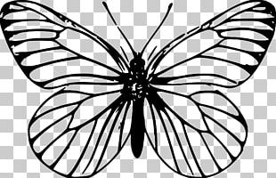 Monarch Butterfly Outline PNG