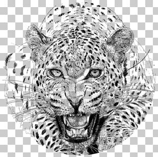 Yala National Park Cheetah Leopard IPhone Hotel Chandrika PNG