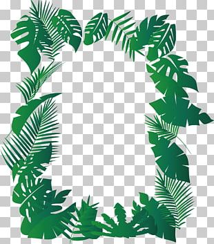 Jungle Fruit PNG, Clipart, Adobe Illustrator, Branch, Clipart, Clip Art ...