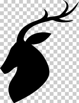 White-tailed Deer Reindeer PNG, Clipart, Animals, Antler, Black And ...