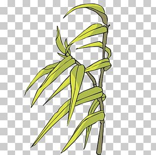 Bamboo Cartoon PNG, Clipart, Advertising, Bamboo Border, Bamboo Frame ...