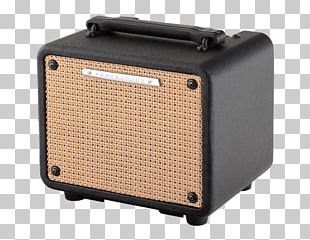 Guitar Amplifier Acoustic Guitar Electric Guitar Ibanez Troubadour T30II PNG